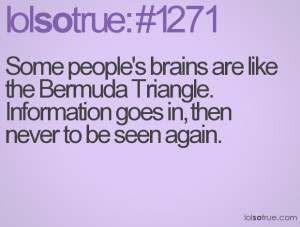 Some people's brains are like the Bermuda Triangle. Information goes ...