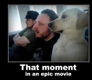 ... Funny Animals // Tags: Funny dog - That moment in an epic movie