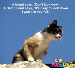 friends let you down quotes