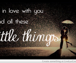 in collection quotes sayings and other cool things