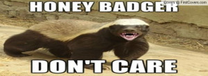Honey Badger Don't Care Profile Facebook Covers