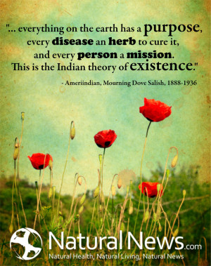 ... in the Indian theory of existence.