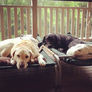 Sick Of Rain Quotes http://pinterest.com/pin/88523948898667151/