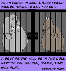 When You’re In Jail, A Good Friend Will Be Trying To Bail You Out.