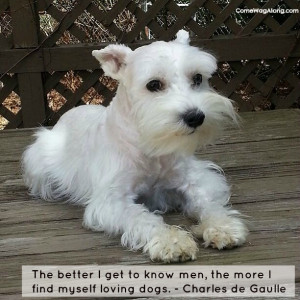 The better I get to know men, the more I find myself loving dogs ...