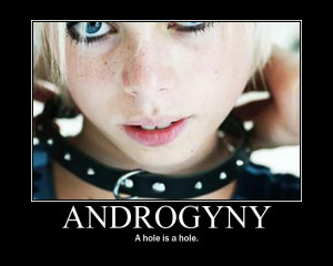 Androgyny Image