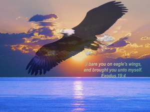 Forum Home > Spiritual Food > On Wings of Eagles, January 30, 2013 ...