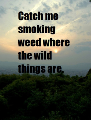 Related Pictures stoner quotes about weed funny stoner quotes