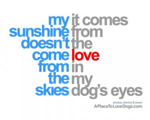 ... come from the skies - it comes from the love in my dog's eyes. #quotes