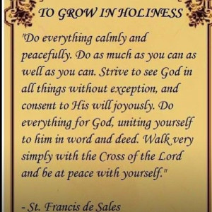catholic #holiness #stfrancisdesales #becomingasaint