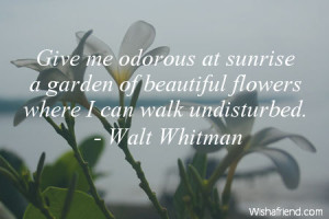 ... at sunrise a garden of beautiful flowers where I can walk undisturbed