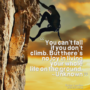 Quotes Picture: you can’t fall if you don’t climb but there’s no ...