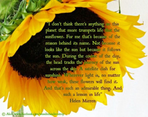 Sunflower quote: Sunflowers Quotes, Quotes Sunflowers, Sunny ...