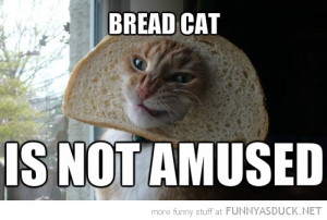 ... Pictures dalek bread us humor funny pictures quotes pics photos images