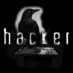 Poe had written The Raven Today it would probably be about a hacker