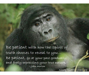 Wisdom/patience