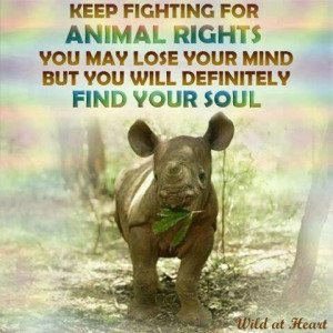 Keep Fighting For Animal Rights. You May Lose Your Mind But You Will ...