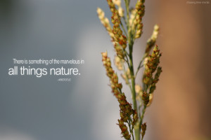 Beautiful Quotes About Nature