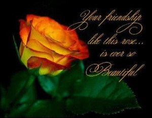 Friendship Rose Greetings
