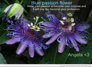 blue_passion_flower_love_work_profession-516174.jpg?i