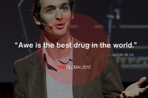 Awe is the best drug in the world