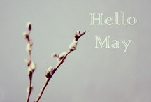 May / by Robin Willard