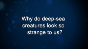 Curiosity: B. Robison: Why do deep-sea creatures look so strange to us
