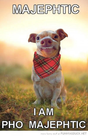 Snek Stahp Funny Pics Pictures