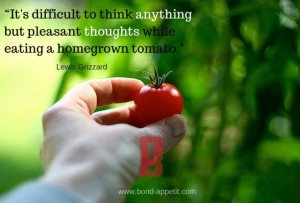 ... think anything but pleasant thoughts while eating a homegrown tomato
