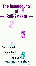 Components of Self-Esteem