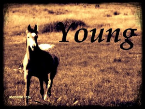 Young photo 1FD01CF2.jpg