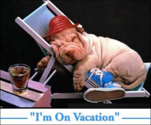 more funny pictures funny dog vacation funny picture santa on vacation ...