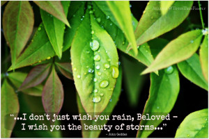 Raindrops Quotes