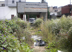 Kanary's Landscaping 2006 Cleveland Home and Garden Show First Place