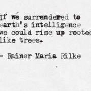allison quote