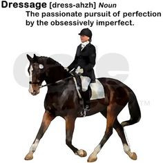 Dressage definition More