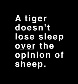 tiger doesn't...