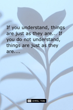 Great Zen Quotes http://appfinder.lisisoft.com/app/zen-quotes-sayings ...