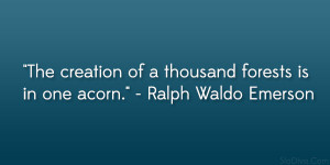 ... of a thousand forests is in one acorn.” – Ralph Waldo Emerson