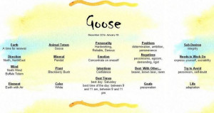 Found on i17.photobucket.com