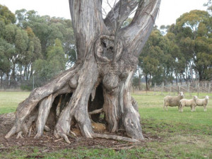 You need to enable Javascript.