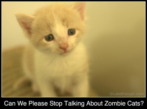Zombie Cats Are Scary photo