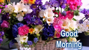 Happy Monday Morning Greetings for Boss Wishes Photo