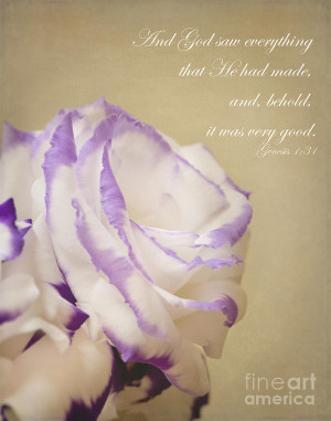 Flower And Bible Verse Photograph