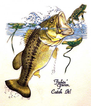 Happy Birthday Fish Quotes