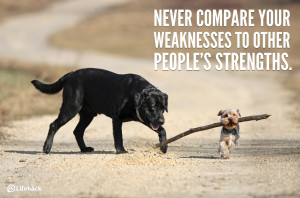 Never compare your weaknesses to other people’s strengths.