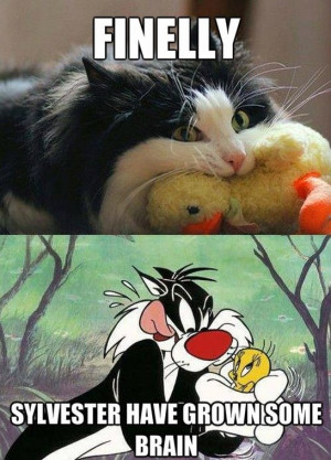 Sylvester and Tweety Real Life