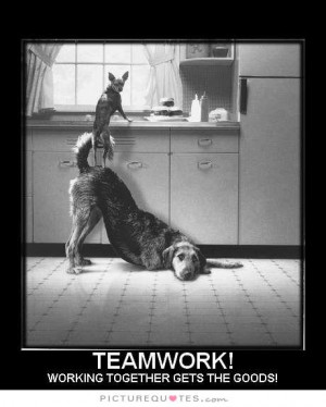 Teamwork Quotes Team Quotes Working Together Quotes