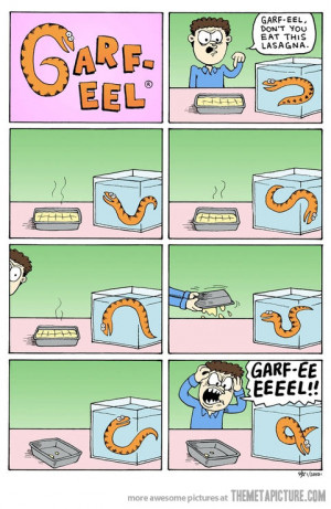 Funny photos funny Garfield comic eel