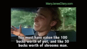 stoner movies gif super troopers